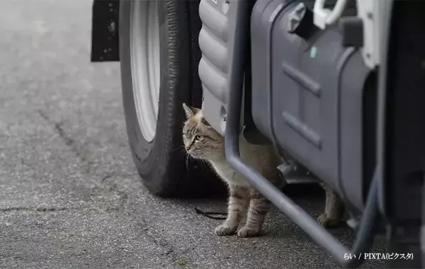 「これは本当に大切」「常識になってほしい」 『7万いいね』を集めた注意喚起とは
