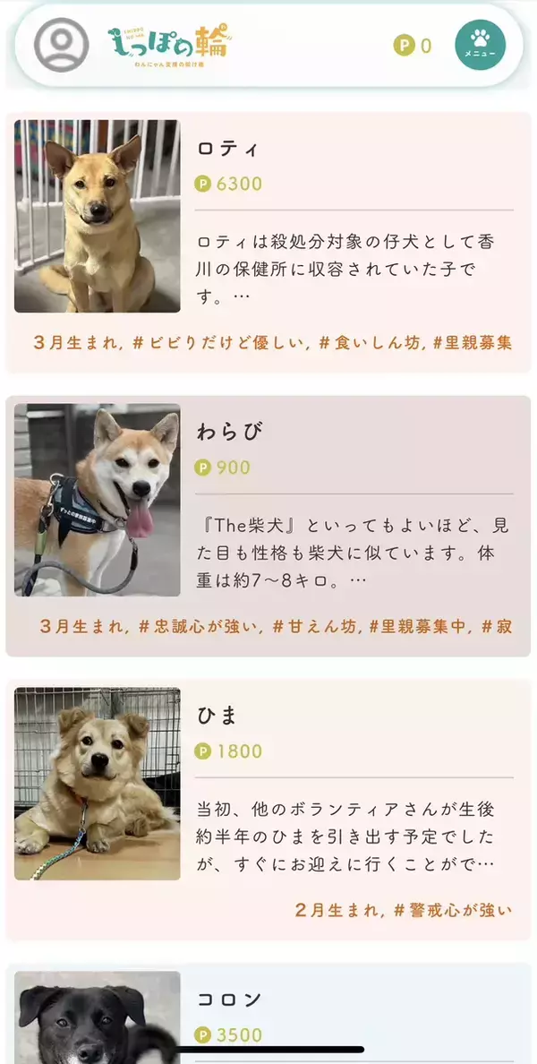 保護動物の未来が変わる？　話題の『推し活支援』サービスが…【独自取材】