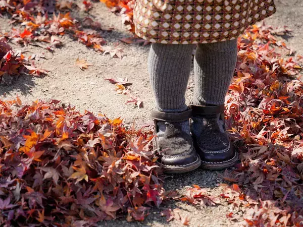 母親「まさかのアンパンマントラップ」　紅葉の名所で出会った『落葉アート』がこちら