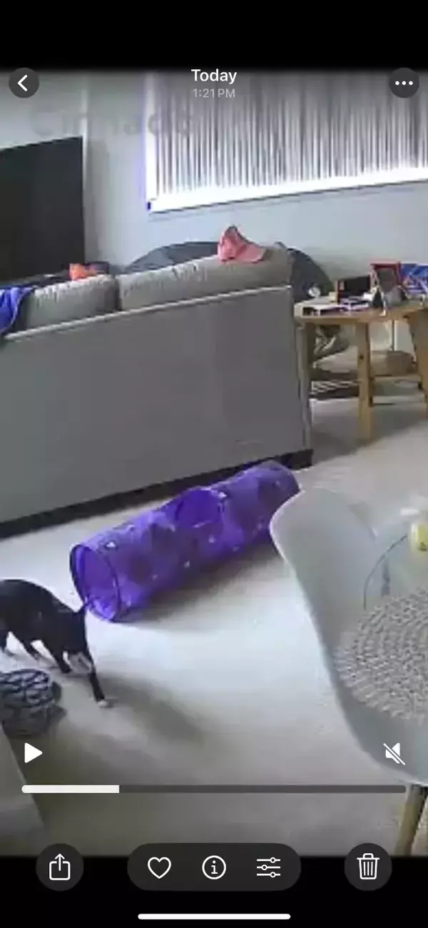 「この顔を見れば分かる」「証拠はあるのか？」　窃盗事件の『容疑者』に無罪の声が殺到して？