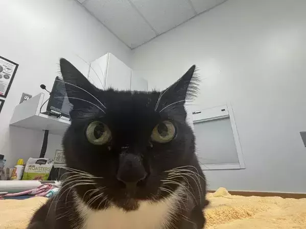 「この顔を見れば分かる」「証拠はあるのか？」　窃盗事件の『容疑者』に無罪の声が殺到して？