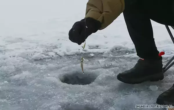 知ってたらすごい…！　冬の『おいしい魚』、漢字で書くと？