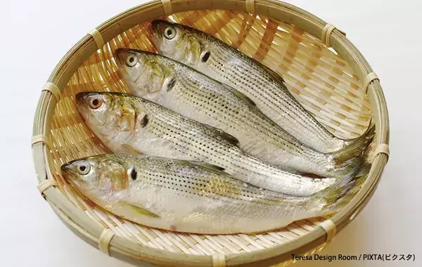 知ってたらすごい…！　冬の『おいしい魚』、漢字で書くと？