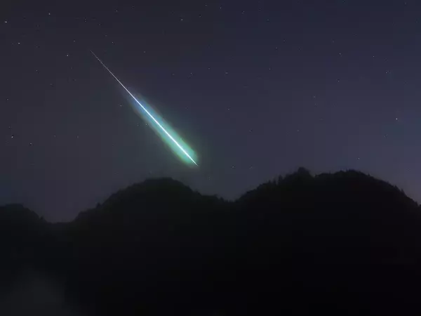 「やっぱり、あれは流星だったんだ！」　“12/14”に激写された1枚に反響【ふたご座流星群】