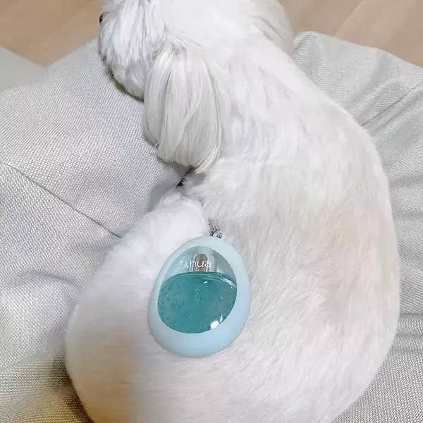 「撮影協力：犬」　愛犬が協力した斬新な撮影方法に「大笑いしちゃった」「天才か」