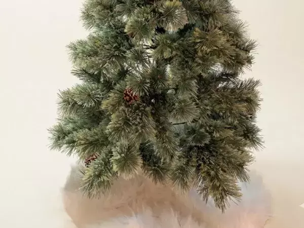 下半分は飾りがないクリスマスツリー　理由に「笑った」「我が家も同じです」