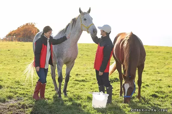 【考察】予想外すぎて鳥肌が立った　有馬記念の約束『ザ・ロイヤルファミリー』第10話