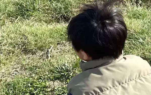 「心で見ていない！」　道端で泣き出した6歳息子、放った一言に母親が反省