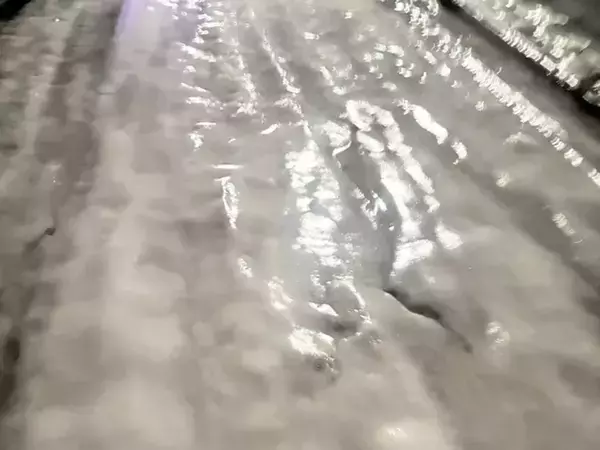 「家まであと少しなのに」　クリスマスケーキを持ち帰る途中、絶望した理由が？