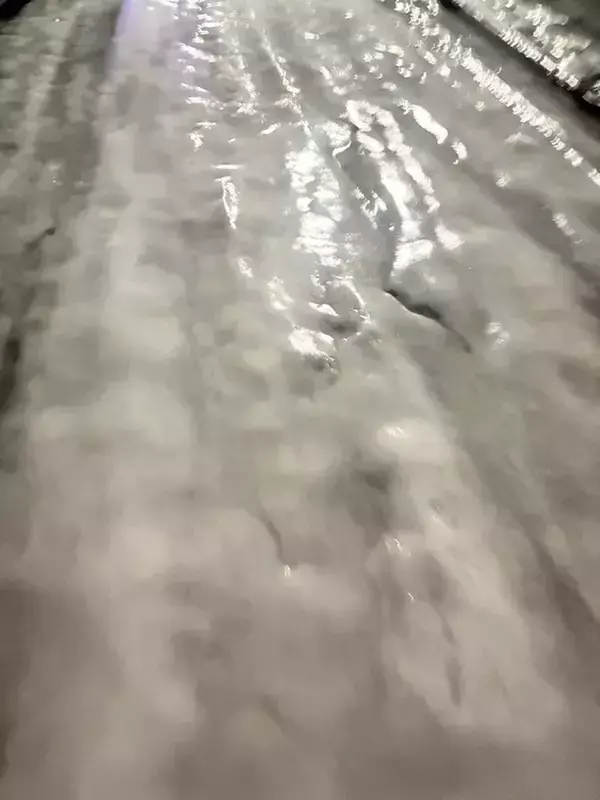 「家まであと少しなのに」　クリスマスケーキを持ち帰る途中、絶望した理由が？