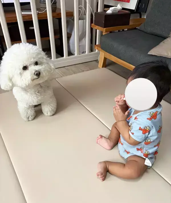 和装で写真を撮った夫婦　一緒に写っていたのは？「ジーンとした」「自分もやりたい！」