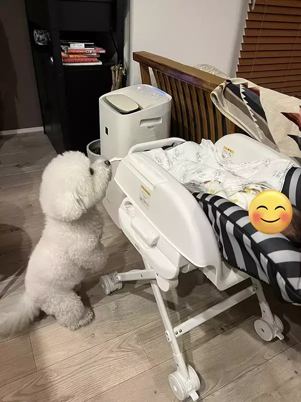 和装で写真を撮った夫婦　一緒に写っていたのは？「ジーンとした」「自分もやりたい！」