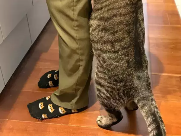 「絶対仕事に行けない」　仕事始めの日、足元にいたのは…「これは無理」「もう少し休もう」