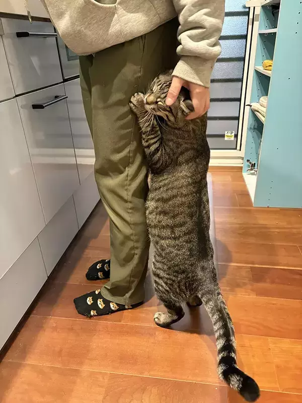 「絶対仕事に行けない」　仕事始めの日、足元にいたのは…「これは無理」「もう少し休もう」