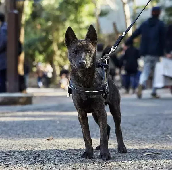 通りすがりの人に「かっこいい！」と言われた男性　振り返ると？「そっちかい！」「最高かよ」