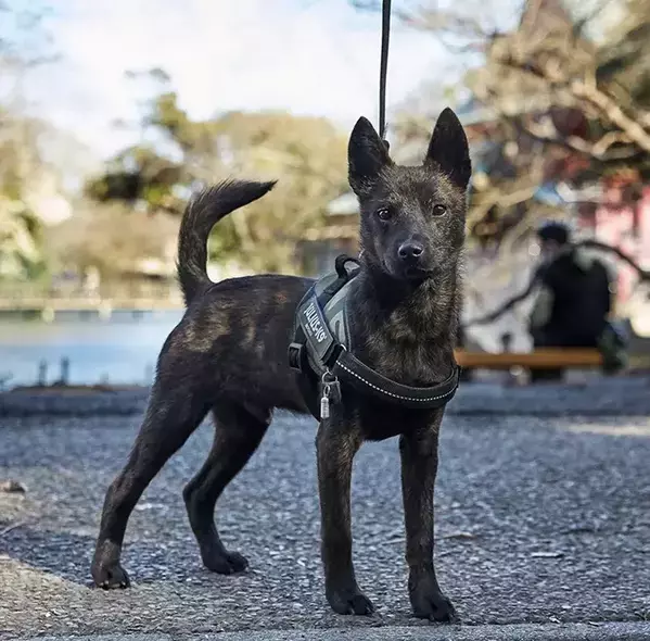 通りすがりの人に「かっこいい！」と言われた男性　振り返ると？「そっちかい！」「最高かよ」