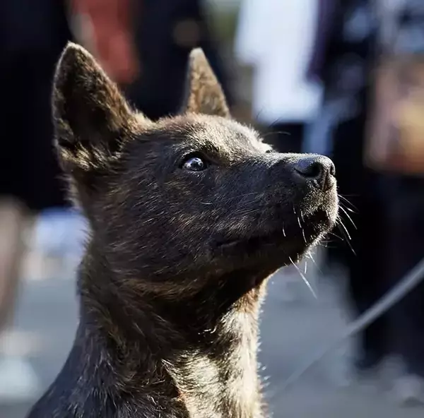 通りすがりの人に「かっこいい！」と言われた男性　振り返ると？「そっちかい！」「最高かよ」