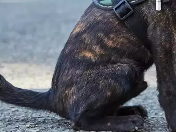 通りすがりの人に「かっこいい！」と言われた男性　振り返ると？「そっちかい！」「最高かよ」