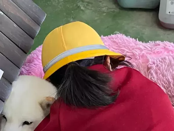 小学生「ただいまー！」　帰宅と同時にやったことが？「ポーズに吹いた」「いいなー！」