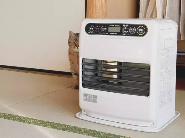 「言いたいこと、伝わっています」　猫が『伝えたいこと』とは…「分かりやすすぎる」