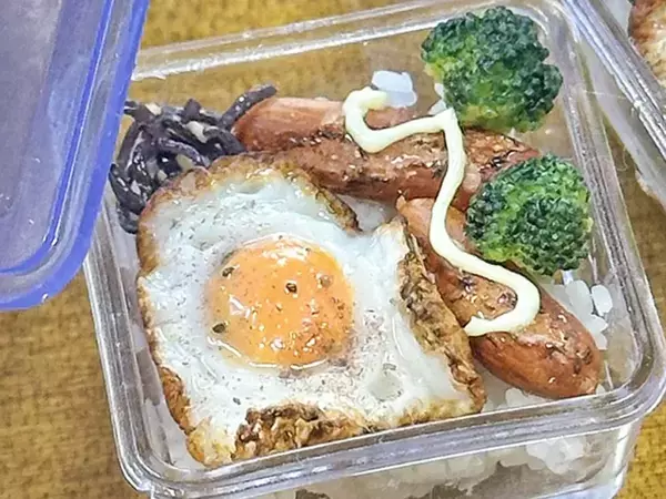 目玉焼きとウインナー入りの『タッパー弁当』　よく見ると？「最高傑作」「天才だ」