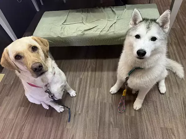 家のドアに貼られた『警告の貼り紙』　その内容に「全力でノックしたい」「そりゃ要注意だわ」