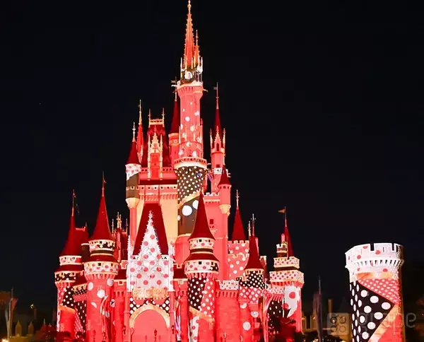 今しか見られない！　夜になったらシンデレラ城が一変！？行く前に要チェック