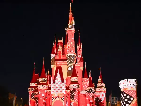 今しか見られない！　夜になったらシンデレラ城が一変！？行く前に要チェック