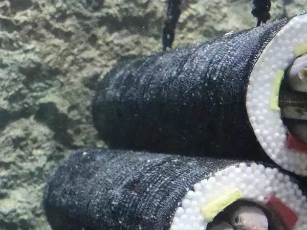 『アナゴの恵方巻き』をよく見ると…？　「なんじゃこりゃー！」「発想が面白すぎる」