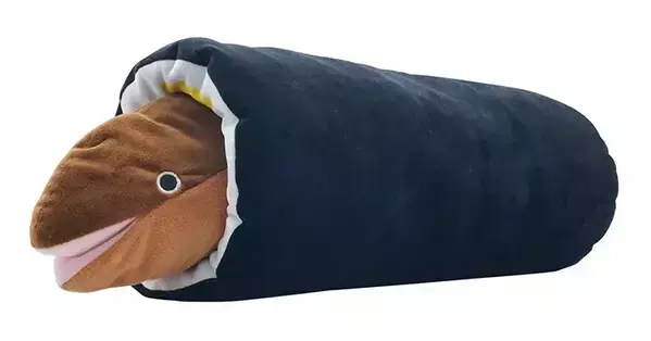 『アナゴの恵方巻き』をよく見ると…？　「なんじゃこりゃー！」「発想が面白すぎる」