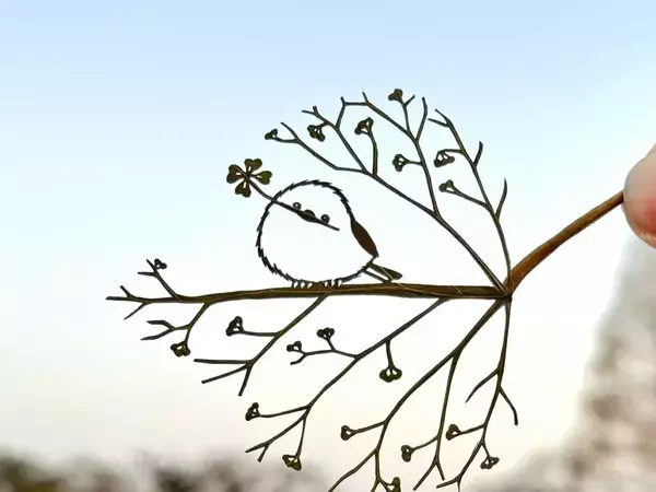 葉っぱの葉脈を生かして…　シマエナガの切り絵に「すごすぎる」「天才です」