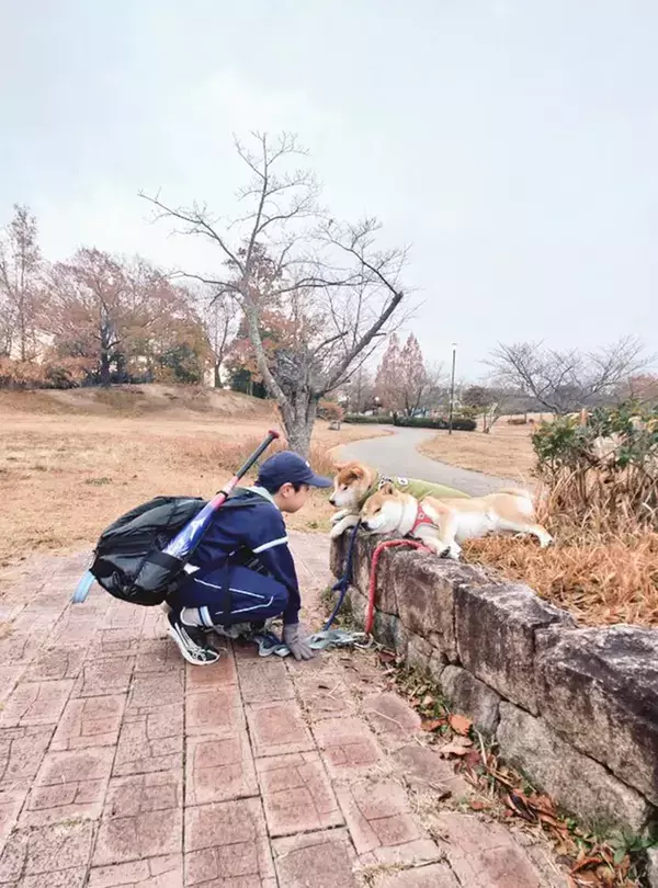 「帰りたくない！」とごねる柴犬　理由が？「笑った」「ほのぼのする」