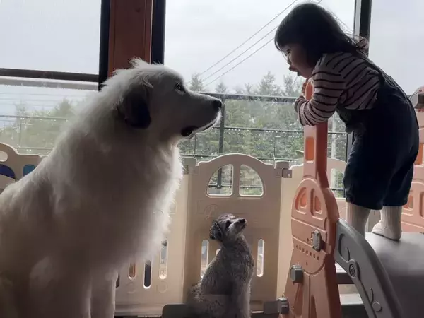 「滑り台はじゅんばんこ！」　3歳児ともめたのは？「白熱してる」「かわいすぎ」