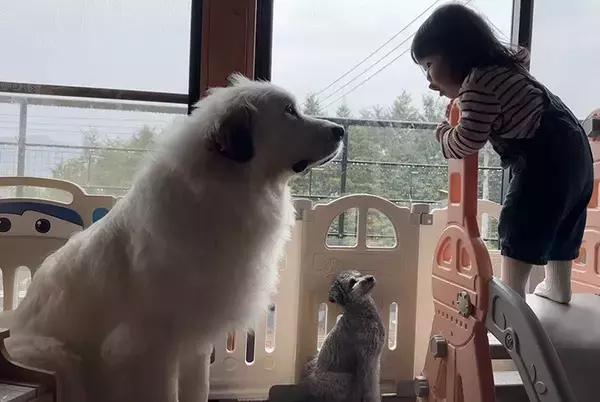 「滑り台はじゅんばんこ！」　3歳児ともめたのは？「白熱してる」「かわいすぎ」