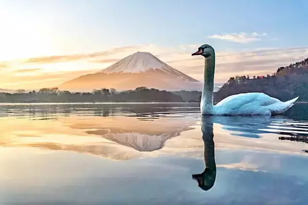 『逆さ富士』を撮ろうとしたら？　まさかの結果に「爆笑した」「いや神ショットでしょ」