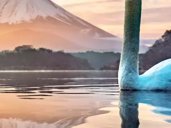 『逆さ富士』を撮ろうとしたら？　まさかの結果に「爆笑した」「いや神ショットでしょ」