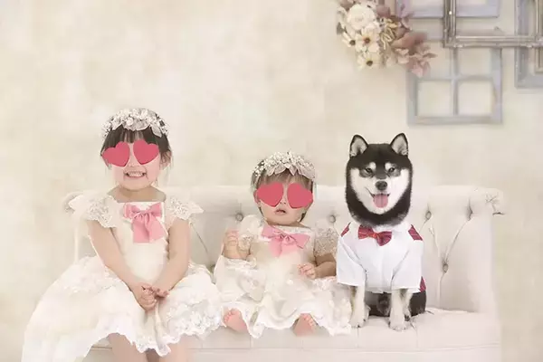 赤ちゃんの前での『4コマ』が話題になった柴犬　その後の姿に「泣いた」「これぞ愛だ」