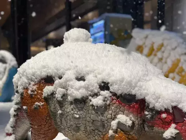 「福井の氷河期が始まった」　最強寒波で雪が積もって…駅前の様子に「凍えているみたい」「つらそうな表情に見える」