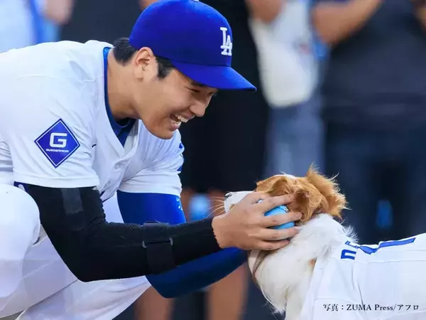 大谷翔平の愛犬・デコピンが最優秀犬賞！　ドヤ顔ショットに「おめでとう」「最高」