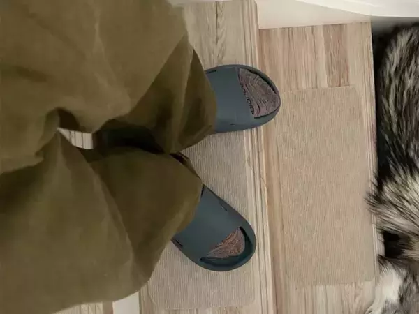 犬がリラックスしていた場所が…？　飼い主がとらえた写真に「関所かな」「踏んじゃいそう」