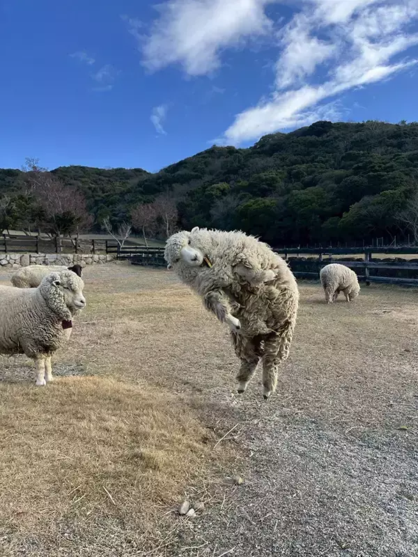 「助けていただいたエビフライです」　動物園での光景に「これなら大歓迎」「奇跡の1枚だろ」