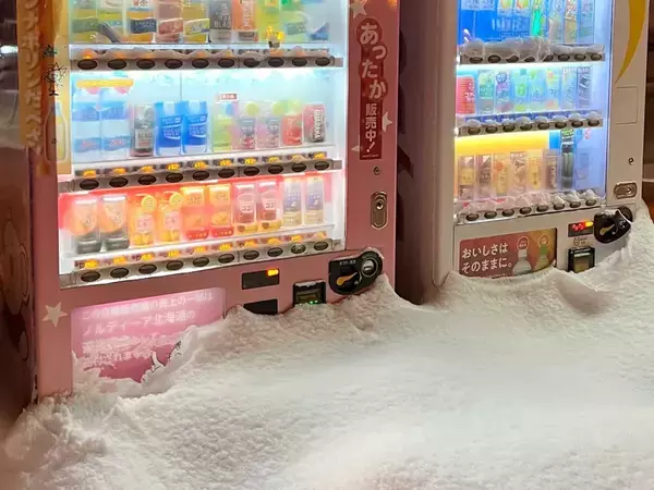 雪に埋まった自動販売機に「マジかよ」　道民が撮った光景が…？
