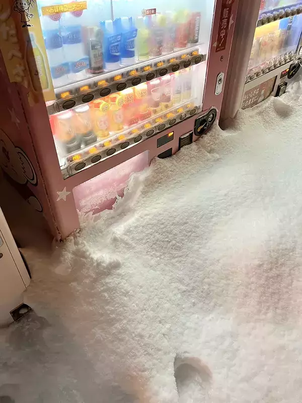 雪に埋まった自動販売機に「マジかよ」　道民が撮った光景が…？