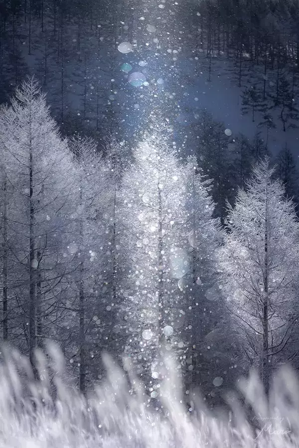 「まつ毛を凍らせながらも目が逸らせない絶景」　美しいダイヤモンドダストに、心を奪われる！