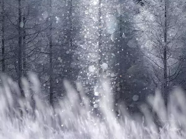 「まつ毛を凍らせながらも目が逸らせない絶景」　美しいダイヤモンドダストに、心を奪われる！