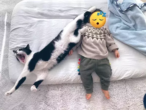 「想像していた添い寝と違う」　男の子の横で寝る猫、その様子が…「笑った」「クセが強い」