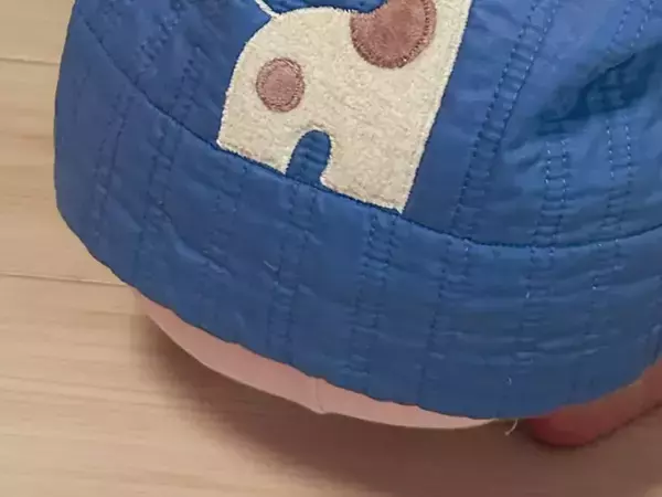 40数年お下がりされ続けた『昭和のベビー服』　1歳児が着ると？「時代を超えている」「家宝だ」