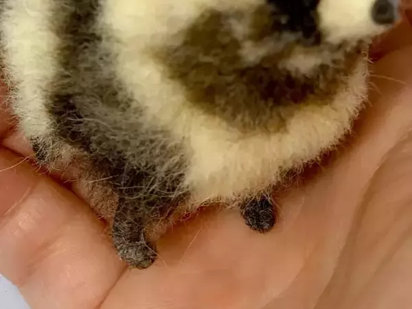 手芸の『タヌキ』があまりにもタヌキ…　「これは生きてるでしょ！」「騙されないぞ」