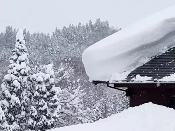 「今日は会社休みました」　男性が投稿した写真に「1秒で納得した」「ハードすぎるだろ」