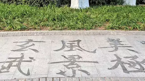 中国の公園で高齢者が？　日常の風景に「日本にはない文化」「面白い」